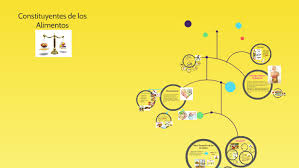 Una asamblea constituyente, en este sentido, es la entidad que se forma ad hoc para modificar o crear una constitución. Constituyentes De Los Alimentos By Diana Vargas Mendez