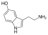 Psilocybin Wikipedia