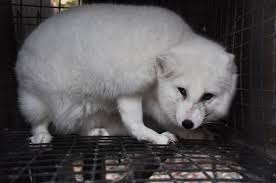 Dianna Thacker (@thacker_dianna)