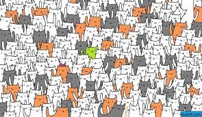 لغز الارنب هل بإمكانك العثور على الارنب بين حشد القطط Can You Find It Rabbit Hide Cat Puzzle
