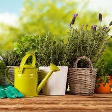 Garten idee ihre hilfe im garten. Natuerliche Tierische Hilfe Im Garten Nuetzlinge Gegen Schaedlinge