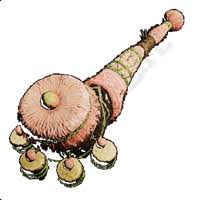 Image result for Hunteria congolana