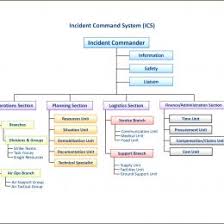 Ics Organizational Chart 823728645 Fillable Ics Flow