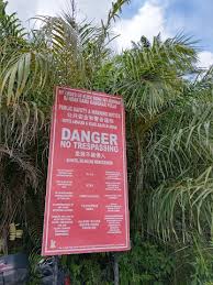 Getting from kuantan to tasik biru: E Zwpc5feil6bm