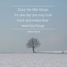 Enjoy The Little Things In Life For One Day You Ll Look Back And Realize They Were The Big Things Enjoy The Little Things For One Day You May Look Back And Realize They Were Big Things Robert Brau Inspiring Quotes About Life Mom Quotes Quotes To Live By