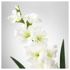 Smycka Artificial Flower Gladiolus White Ikea Artificial Flowers Ikea Artificial Flowers Artificial Plant Wall