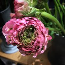 Wir garantieren qualität und schnelle lieferung. Blumen Fur Jeden Tag Lisbeth