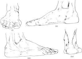 Feet drawing guy drawing manga drawing drawing people drawing reference drawing heels shoe drawing pose. Foot Sketch Templates And Footwear Design Sciencedirect