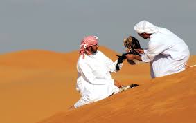 If you are uae and into a new adventure that you can only attend in this part of the world, then camel racing in uae is your thing. Tamm Traditional Sports In Abu Dhabi