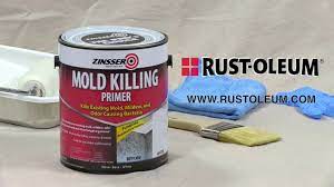 I'd go ahead and apply a coat of oil base primer over the stains. Zinsser Mold Killing Primer