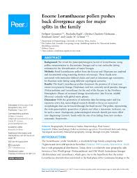 Image result for Vanwykia remota