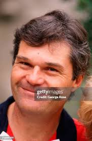 151 Fernwood Stock Photos, High-Res Pictures, and Images