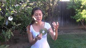 In a large jug, stir 2 tablespoons of the pepper into a gallon of warm water, then add six drops of liquid soap. How To Keep Birds Squirrels Other Animals Away From Your Fruit Trees Youtube