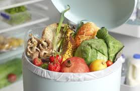 Image result for wasted food waste