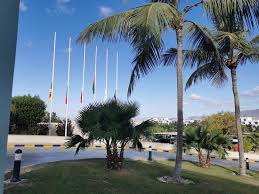 Presently the dog came to him, with a and the camel said 'humph!' again; My Camel Farm If You Don T See Camel Before I Can Take You To My Farm For Take Photos Touching Friendly Camel Drink Camel Milk And Will You