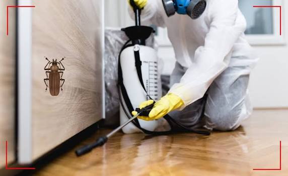 Pest control