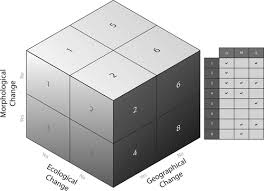 Image result for Cyphostemma kirkianum