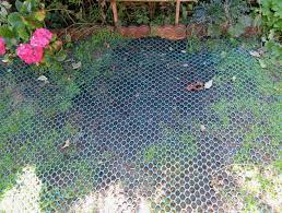 Block off areas using gates, fences, or pens when you can't supervise and heavily reward your dog when they're. Two Dog Inspired Grass Protection Mesh Case Studies Blogs From Matsgrids