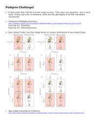 Pedigree Challenge A Blue Eyed Man Marries A Brown
