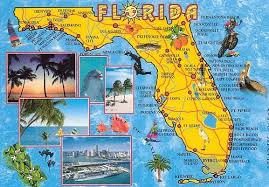 This adventure park is a 'must' for kids. Florida Google Images Map Of Florida Florida Attractions Florida City