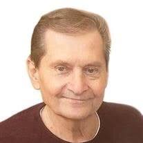 Peter Mayer Obituary