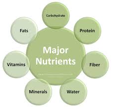 Pin En Micro Nutrients Vitamins And Minerals