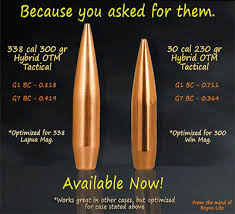 61 Disclosed 300 Win Mag Long Range Ballistics Chart