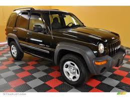Image result for Brilliant Black 2002 Jeep