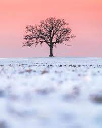 Do You Want To Gain Some Natural Inspirations Be Dazzle By The Inspiration You Can Find At Pul Simple Nature Photography Nature Photography Nature Inspiration