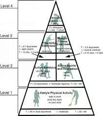 The activity pyramid is a guide that adults may use to plan for an active lifestyle. The Physical Activity Pyramid Health Protection