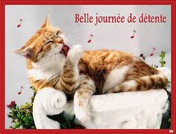 Résultat de recherche d'images pour "gifs belle journée"