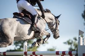 Portable cross country horse jumps hand crafted in australia and manufactured from solid timber deliverd australia wide. 7 Popular Horse Show Jumps