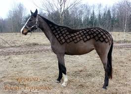 Clip Clipping Horses Horse Clip Art Horse Clipping Dog Grooming