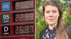 Veronica Kerr (KD): Staten bör styra vården