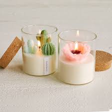Terrarium Candle Cactus Candles Flower Candles Uncommongoods Terrarium Candle Cactus Candles Cute Candles