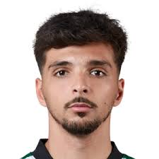 Diogo Filipe Rocha Costa FC 26 Rating