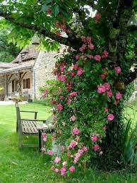 Elige jardines verticales, jardines rústicos.como decorar tu jardín o patio. 1001 Ideas Sobre Como Decorar Un Jardin Pequeno Jardines Pequenos Decorar Jardines Pequenos Y Como Decorar El Jardin