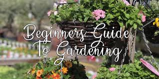 Some flowers were sacrificed along the way, and some rookie mistakes were learnt. Beginners Guide To Gardening Upcountry Garden Centre Bakehouse