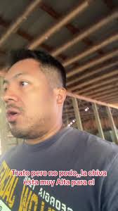 La Chiba esta muy Alta para el chivito #creatorsearchinsightsincentive...