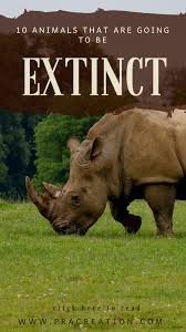 10 Critically Endangered Species Of India Pracreation Critically Endangered Species Endangered Species Endangered Animals