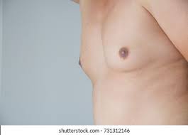 Fat Man Chest Images Stock Photos Vectors Shutterstock