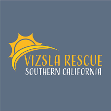 All of our puppies come with health and hip guarantees. Vizsla Rescue For Southern Ca Scvc Home Facebook