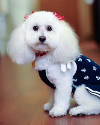 California Maritime Personal Injury Attorneys