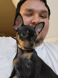 Bri guy...driving through Chick Fila in MD yesterday
