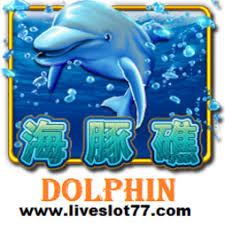 Check spelling or type a new query. Dolphin Reef Mega888 Logo Png Google Search