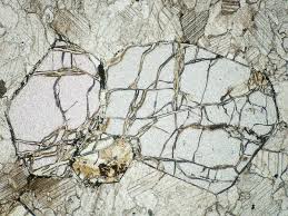 Atlas Of Metamorphic Minerals Olivine Forsterite In Marble Ppl Minerals Metamorphic Olivine