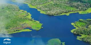 Se sale de la ciudad de letciia, colombia por tierra a tabantinga, brasil en donde se toma un bote rapido por el rio amazonas a benjamin constant, brasil. 10 Curiosidades Sobre El Amazonas El Rio De Los Excesos Iagua