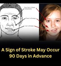 What protein is everyone using? Clean ones.