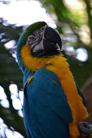 Dsc 0098 Zoo Coupons Downtown West Palm Beach Palm Beach