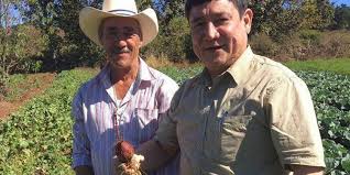 Credito grupal solidario con este tipo de prodcuto usted sera capaz de inventir dinero para un crecimiento saludable de su negocio. Gobierno Ofrece L20 Millones De Credito Solidario Para Produccion Agricola Diario La Tribuna